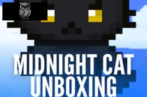 Midnight Cat Unboxing